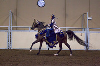 Class 176 - HA/AA Mounted Native Costume, Open