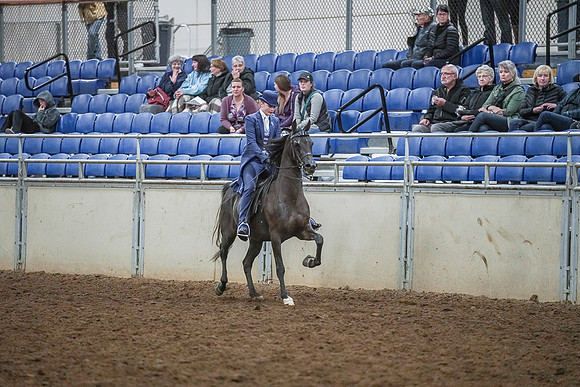 Spring Fling - Saturday - April 20, 2019  -  03948