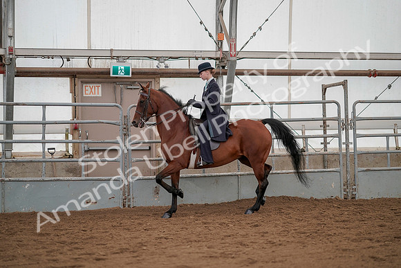 July 20, 2019 - 04304