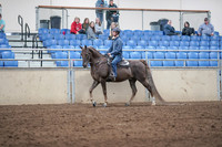 2019 Morgan Horse Show - Aug 31, 2019 - 21384