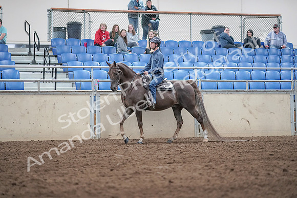 2019 Morgan Horse Show - Aug 31, 2019 - 21384