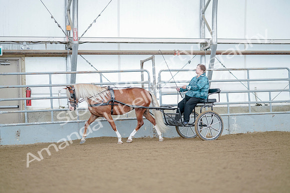 July 21, 2019 - 09201