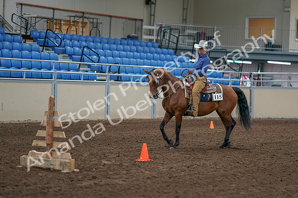 2020 - AB Morgan Horse - Fri, Sept 04 - 00174
