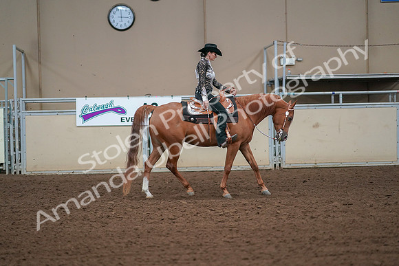 2019 Morgan Horse Show - Aug 30, 2019 - 17020