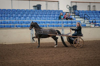 2019 Morgan Horse Show - Aug 31, 2019 - 04232
