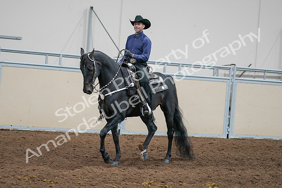 2020 - AB Morgan Horse - Sun, Sept 06 - 07595