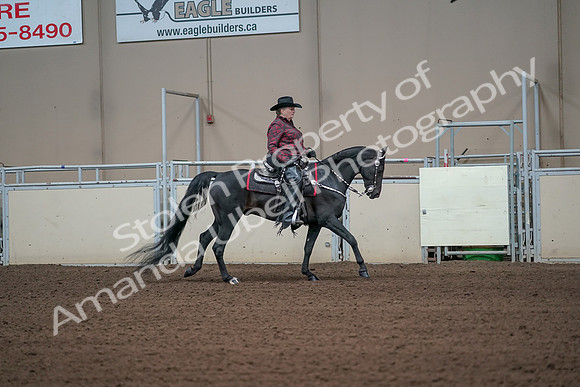 2019 Morgan Horse Show - Aug 31, 2019 - 10721