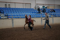 2019 Morgan Horse Show - Aug 31, 2019 - 00376