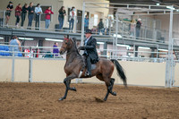 2020 - AB Morgan Horse - Sat, Sept 05 - 07896