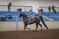 2019 Morgan Horse Show - Aug 31, 2019 - 07656
