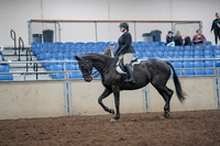 2019 Morgan Horse Show - Aug 31, 2019 - 14640