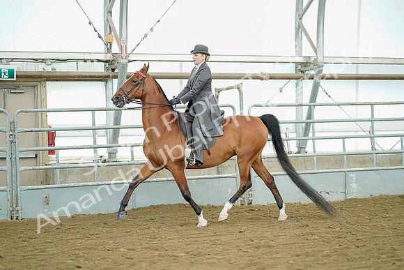 July 20, 2019 - 07809