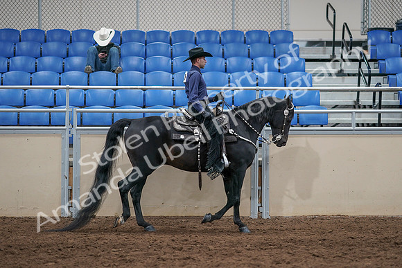 2020 - AB Morgan Horse - Sun, Sept 06 - 07542