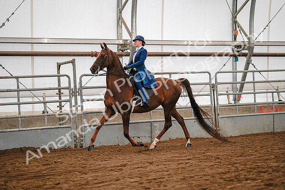 July 19, 2019 - 8667