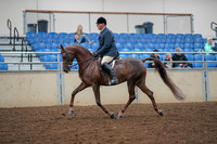 2019 Morgan Horse Show - Aug 30, 2019 - 17255