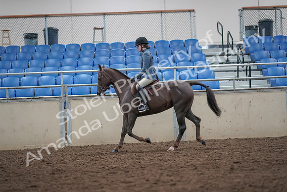 2019 Morgan Horse Show - Aug 31, 2019 - 16629