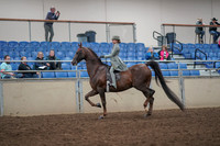 2019 Morgan Horse Show - Aug 31, 2019 - 07658