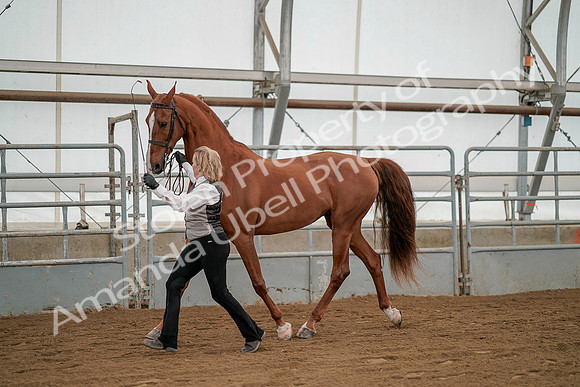 July 19, 2019 - 1344