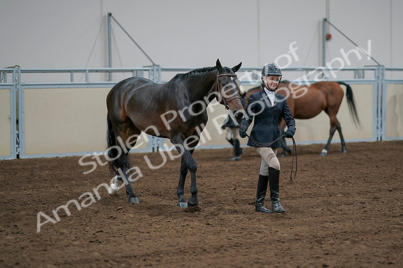 2020 - AB Morgan Horse - Fri, Sept 04 - 00817