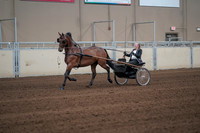 2019 Morgan Horse Show - Sept 01, 2019 - 05926