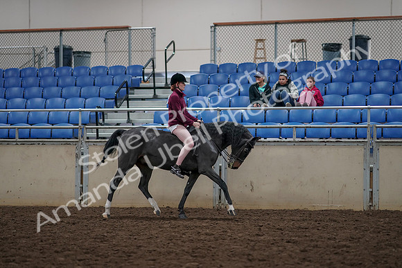 2019 Morgan Horse Show - Aug 30, 2019 - 31356