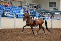 2020 - AB Morgan Horse - Fri, Sept 04 - 03958