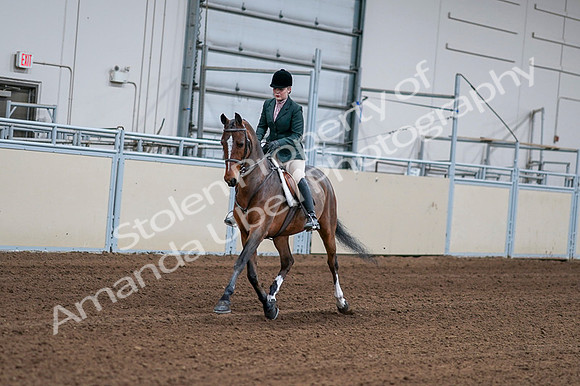 2020 - AB Morgan Horse - Fri, Sept 04 - 01678