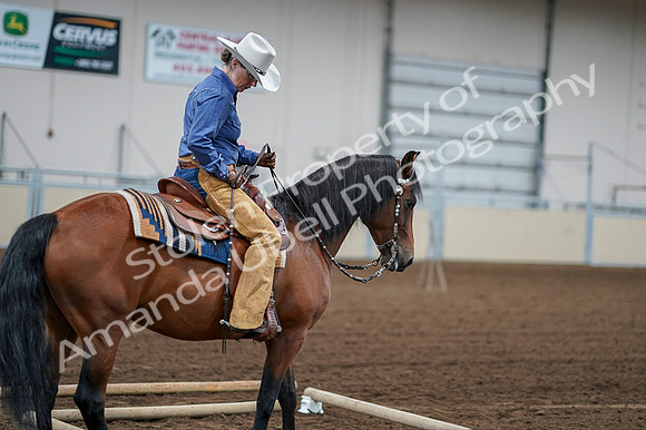 2020 - AB Morgan Horse - Fri, Sept 04 - 00147