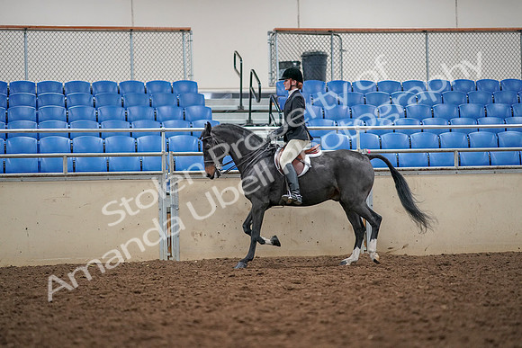2019 Morgan Horse Show - Aug 30, 2019 - 23291