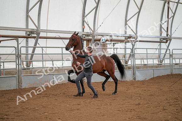 July 19, 2019 - 1160