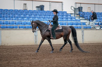 2019 Morgan Horse Show - Sept 01, 2019 - 11200