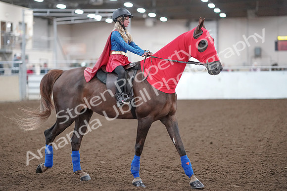 2019 Morgan Horse Show - Aug 31, 2019 - 09999