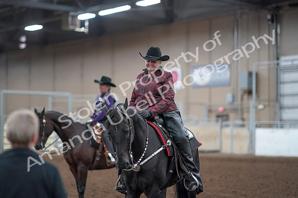 2019 Morgan Horse Show - Aug 31, 2019 - 10793