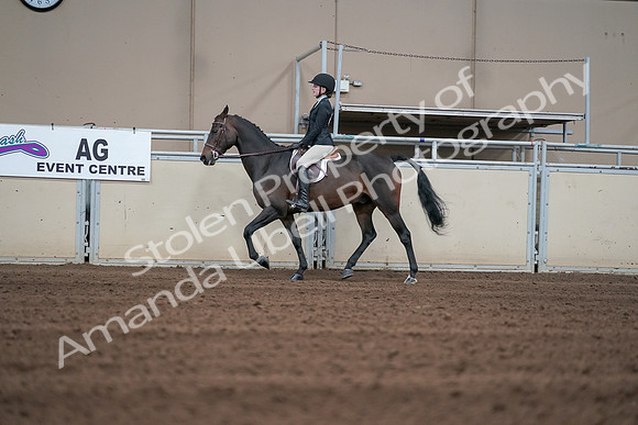 2019 Morgan Horse Show - Sept 01, 2019 - 03676