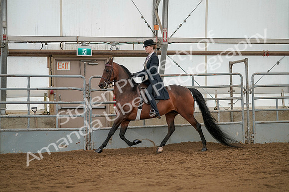 July 20, 2019 - 04269