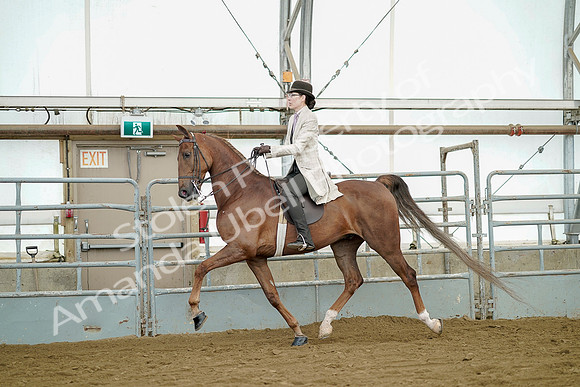 July 20, 2019 - 07668