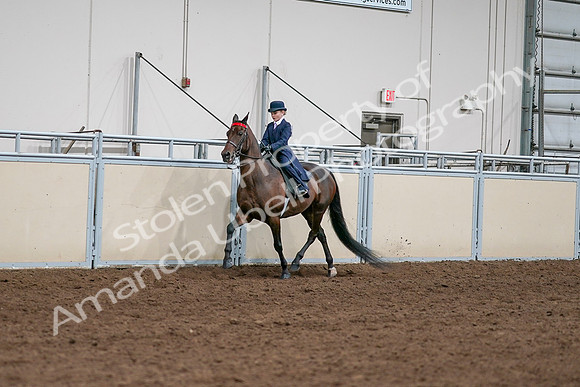 2020 - AB Morgan Horse - Sat, Sept 05 - 04898