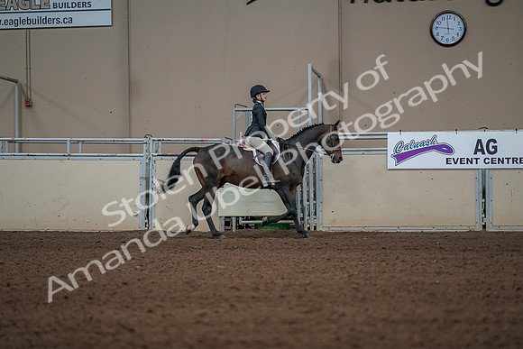 2019 Morgan Horse Show - Aug 31, 2019 - 05165
