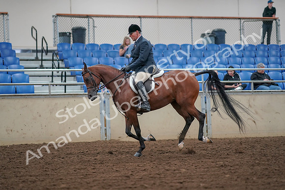 2019 Morgan Horse Show - Aug 30, 2019 - 16357