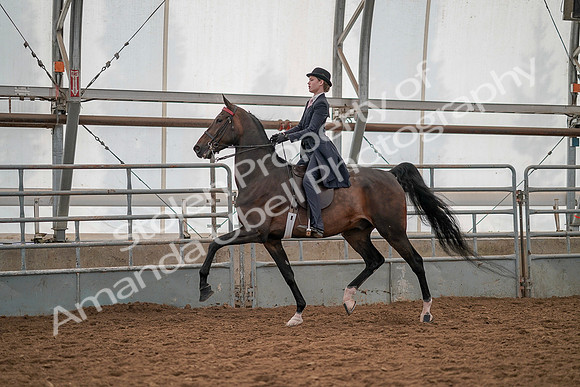 July 19, 2019 - 12904