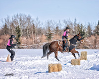Skijordue - 8578