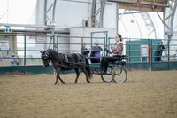 Class 105 - All Breed Pleasure Driving - Stake