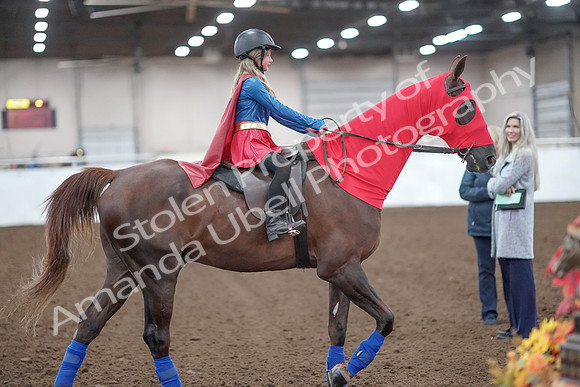 2019 Morgan Horse Show - Aug 31, 2019 - 10015