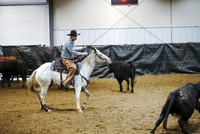 Herd Work - Intermediate Non Pro