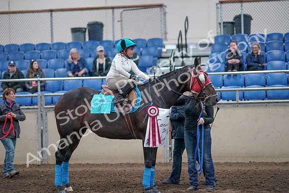 2019 Morgan Horse Show - Aug 31, 2019 - 10197