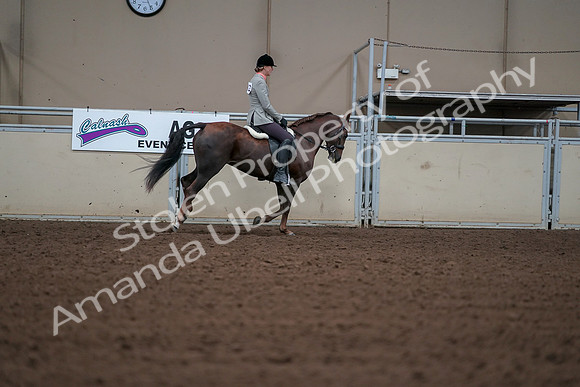 2019 Morgan Horse Show - Aug 30, 2019 - 18582