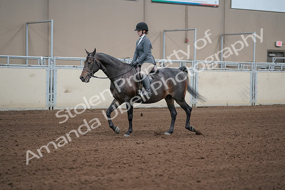 2019 Morgan Horse Show - Sept 01, 2019 - 10952_1