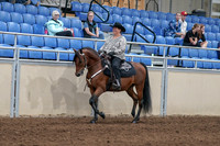 2020 - AB Morgan Horse - Fri, Sept 04 - 05699