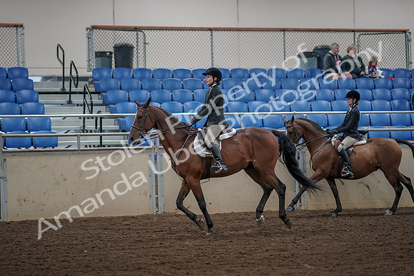 2019 Morgan Horse Show - Aug 31, 2019 - 05106