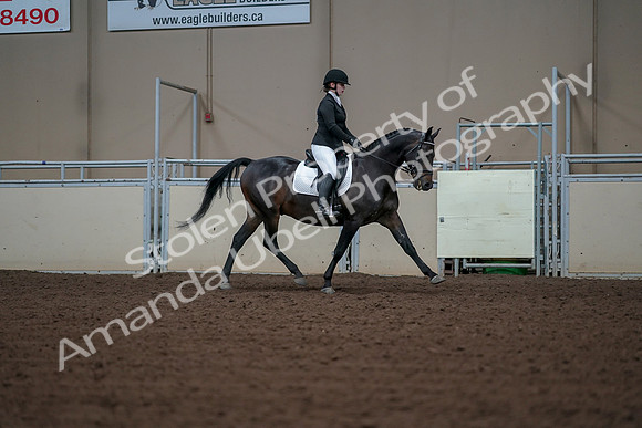 2019 Morgan Horse Show - Aug 30, 2019 - 18529
